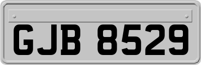 GJB8529