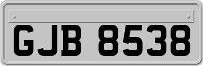 GJB8538