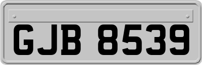 GJB8539