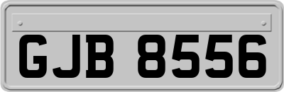 GJB8556