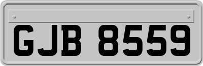 GJB8559