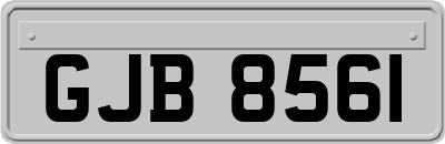GJB8561
