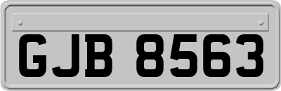 GJB8563