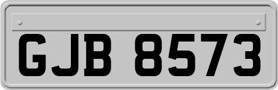 GJB8573