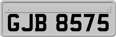 GJB8575