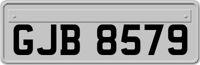 GJB8579
