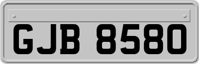 GJB8580