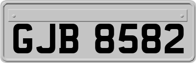 GJB8582