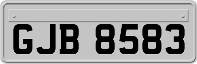 GJB8583