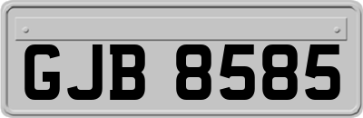 GJB8585