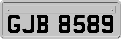 GJB8589