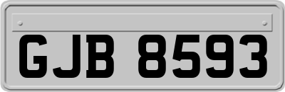 GJB8593