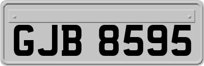 GJB8595