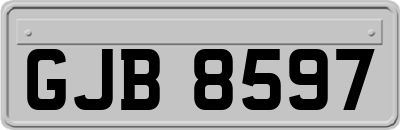 GJB8597