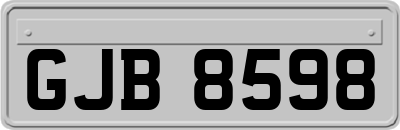 GJB8598