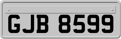 GJB8599