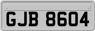 GJB8604