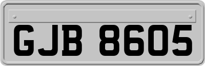 GJB8605