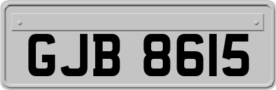 GJB8615