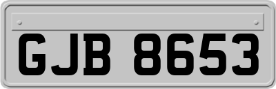 GJB8653