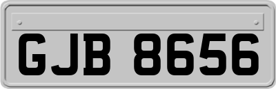 GJB8656