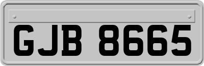 GJB8665