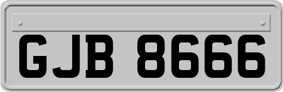GJB8666