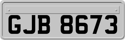 GJB8673