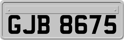 GJB8675