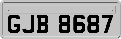 GJB8687