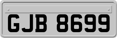 GJB8699