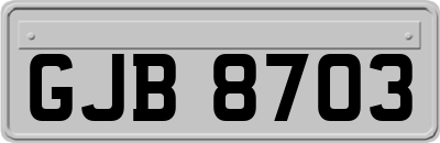 GJB8703