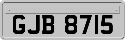 GJB8715