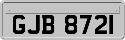 GJB8721