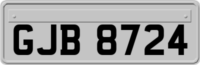GJB8724