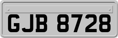 GJB8728