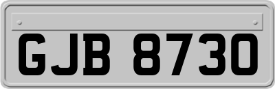 GJB8730