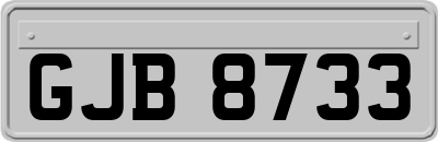 GJB8733