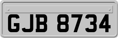 GJB8734