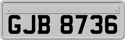 GJB8736