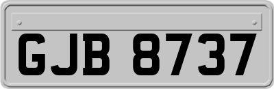 GJB8737
