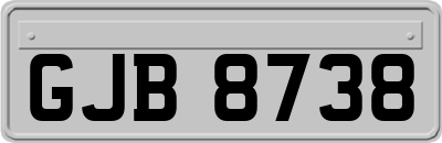 GJB8738