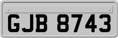 GJB8743
