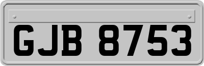 GJB8753