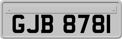 GJB8781