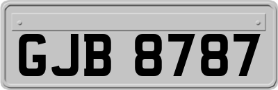 GJB8787
