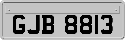 GJB8813