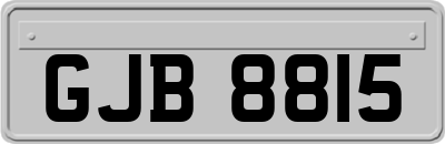 GJB8815
