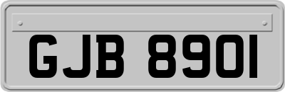 GJB8901