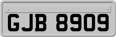 GJB8909